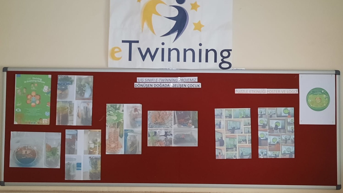 eTwinning